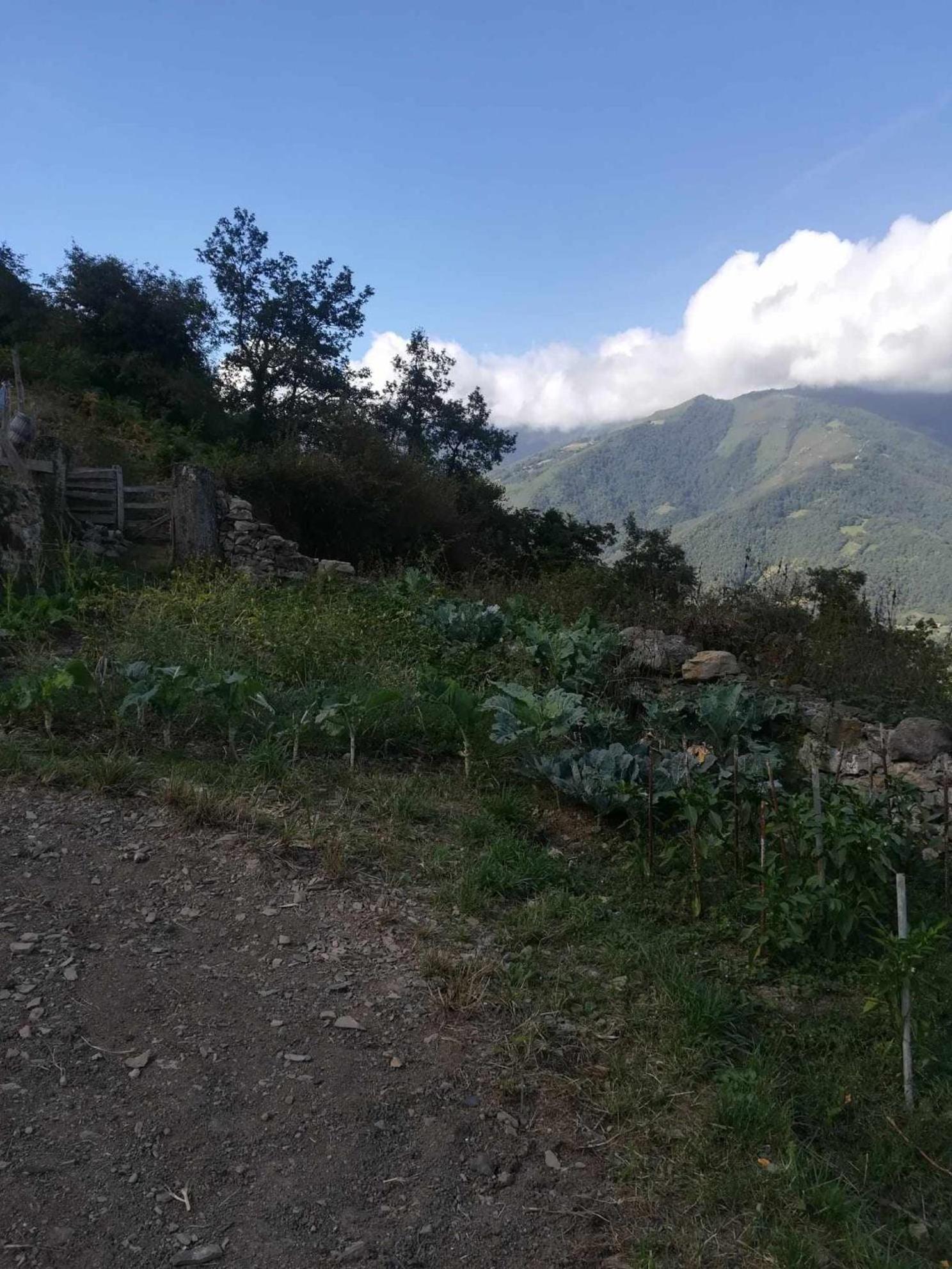 شقة Asturias Boho Chic Aller المظهر الخارجي الصورة