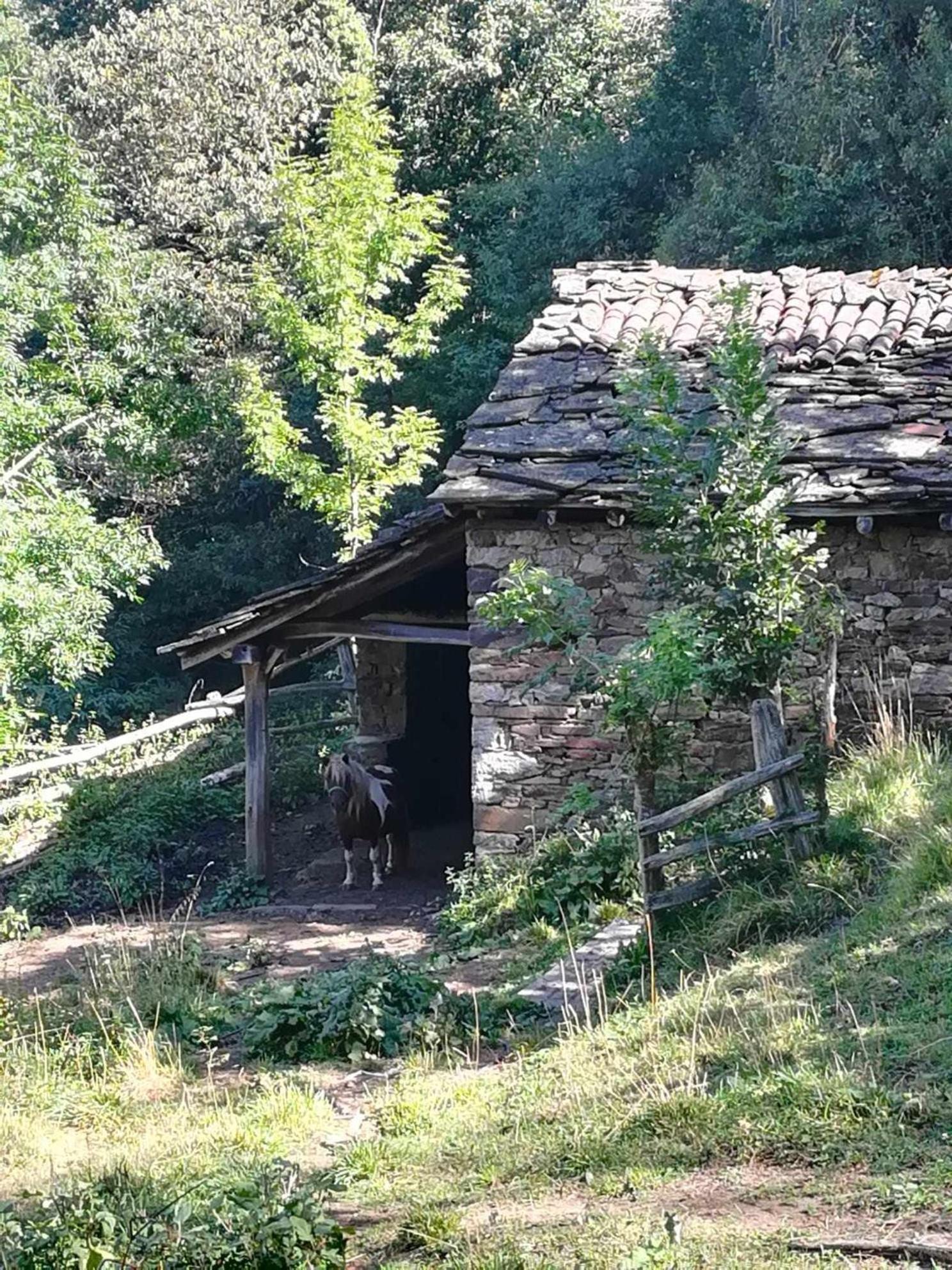 شقة Asturias Boho Chic Aller المظهر الخارجي الصورة