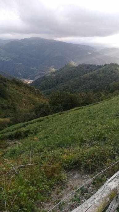 شقة Asturias Boho Chic Aller المظهر الخارجي الصورة